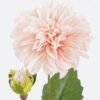 Artificial Flower 10*10*44cm Dahlia single stem/real touch GS-59825001-P3 2025Dec YeahFlower is one of Chinese leading OEM manufacturers and exporters , supplying the silk flowers, wholesale artificial trees