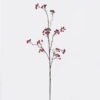 Artificial Flower Fruit single stem GS-63625016_4 Artificial Flower 16*16*97cm Fruit single stem GS-63625016 2025Dec YeahFlower is one of Chinese leading OEM manufacturers and exporters , supplying the silk flowers, wholesale artificial trees