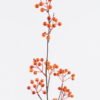 Artificial Flower 15*15*90cm Fruit single stem GS-63625018 2025Dec YeahFlower is one of Chinese leading OEM manufacturers and exporters , supplying the silk flowers, wholesale artificial trees
