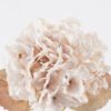 Artificial Flower 22*22*62cm Hydrangea single stem GS-58825038-W1 2025Dec YeahFlower is one of Chinese leading OEM manufacturers and exporters , supplying the silk flowers, wholesale artificial trees