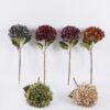 Artificial Flower Hydrangea single stem GS-62425008_1 Artificial Flower 20*17*55cm Hydrangea single stem GS-62425008 2025Dec YeahFlower is one of Chinese leading OEM manufacturers and exporters , supplying the silk flowers, wholesale artificial trees