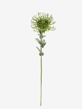 Artificial Flower 10*10*59cm Leucospermumsingle stem GS-77525004-Z1 2026Feb 3,000+ sqm showroom with thousands of artificial flowers, plants & trees ready for global sourcing.