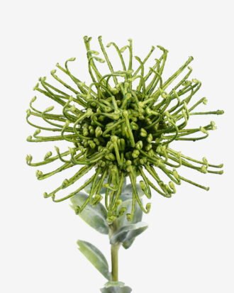 Artificial Flower 10*10*59cm Leucospermumsingle stem GS-77525004-G1 2026Feb YeahFlower is one of Chinese leading OEM manufacturers and exporters , supplying the silk flowers, wholesale artificial trees