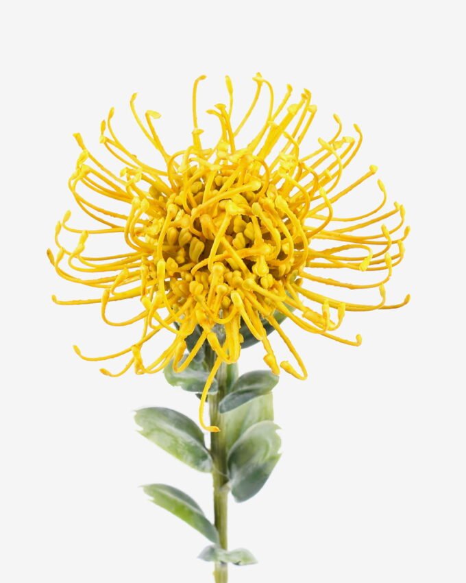 Artificial Flower 10*10*59cm Leucospermumsingle stem GS-77525004 2026Feb YeahFlower is one of Chinese leading OEM manufacturers and exporters , supplying the silk flowers, wholesale artificial trees