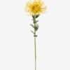 Artificial Flower 10*10*59cm Leucospermumsingle stem GS-77525004 2026Feb YeahFlower is one of Chinese leading OEM manufacturers and exporters , supplying the silk flowers, wholesale artificial trees