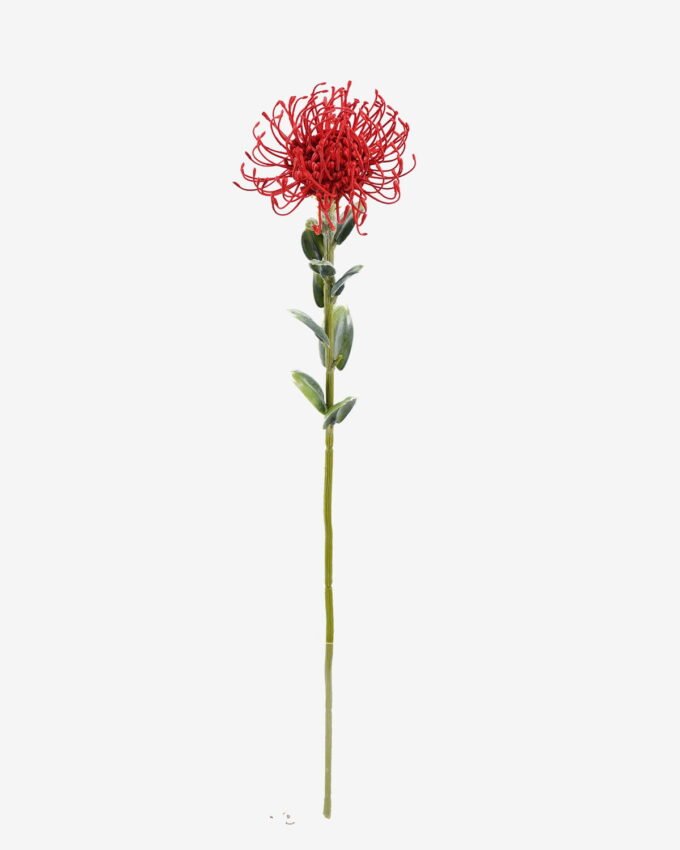 Artificial Flower 10*10*59cm Leucospermumsingle stem GS-77525004 2026Feb YeahFlower is one of Chinese leading OEM manufacturers and exporters , supplying the silk flowers, wholesale artificial trees