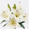 Artificial Flower Lily 3 bundle GS-64925029-W1_2 Artificial Flower 27*27*37cm Lily *3 bundle GS-64925029-W1 2026Jan YeahFlower is one of Chinese leading OEM manufacturers and exporters , supplying the silk flowers, wholesale artificial trees
