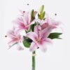Artificial Flower 27*27*37cm Lily *3 bundle GS-64925029-Z1 2026Jan YeahFlower is one of Chinese leading OEM manufacturers and exporters , supplying the silk flowers, wholesale artificial trees
