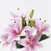 Artificial Flower 27*27*37cm Lily *3 bundle GS-64925029-Z1 2026Jan YeahFlower is one of Chinese leading OEM manufacturers and exporters , supplying the silk flowers, wholesale artificial trees