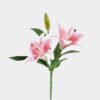 Artificial Flower 18*18*37cm Lily single stem GS-64925026-R2 2026Jan YeahFlower is one of Chinese leading OEM manufacturers and exporters , supplying the silk flowers, wholesale artificial trees