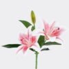 Artificial Flower 18*18*37cm Lily single stem GS-64925026-R2 2026Jan YeahFlower is one of Chinese leading OEM manufacturers and exporters , supplying the silk flowers, wholesale artificial trees