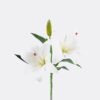 Artificial Flower Lily single stem GS-64925026-W2_2 Artificial Flower 18*18*37cm Lily single stem GS-64925026-W2 2026Jan YeahFlower is one of Chinese leading OEM manufacturers and exporters , supplying the silk flowers, wholesale artificial trees
