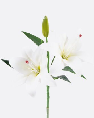Artificial Flower 18*18*37cm Lily single stem GS-64925026-W2 2026Jan YeahFlower is one of Chinese leading OEM manufacturers and exporters , supplying the silk flowers, wholesale artificial trees Artificial Flower 18*18*37cm Lily single stem GS-64925026-W2 2026Jan YeahFlower is one of Chinese leading OEM manufacturers and exporters , supplying the silk flowers, wholesale artificial trees