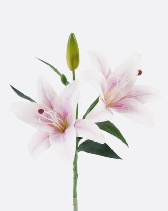 Artificial Flower 18*18*37cm Lily single stem GS-64925026-Z1 2026Jan YeahFlower is one of Chinese leading OEM manufacturers and exporters , supplying the silk flowers, wholesale artificial trees Artificial Flower 18*18*37cm Lily single stem GS-64925026-Z1 2026Jan YeahFlower is one of Chinese leading OEM manufacturers and exporters , supplying the silk flowers, wholesale artificial trees