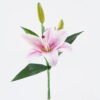 Artificial Flower Lily single stem GS-64925027-Z1_5 Artificial Flower 15*15*37cm Lily single stem GS-64925027-Z1 2026Jan YeahFlower is one of Chinese leading OEM manufacturers and exporters , supplying the silk flowers, wholesale artificial trees