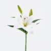 Artificial Flower 15*15*37cm Lily single stem GS-64925027 2026Jan YeahFlower is one of Chinese leading OEM manufacturers and exporters , supplying the silk flowers, wholesale artificial trees