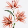 Artificial Flower Lily single stem GS-64925028-R1_6 Artificial Flower 14*14*67cm Lily single stem GS-64925028-R1 2026Jan YeahFlower is one of Chinese leading OEM manufacturers and exporters , supplying the silk flowers, wholesale artificial trees