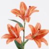 Artificial Flower Lily single stem GS-64925028-R2_6 Artificial Flower 14*14*67cm Lily single stem GS-64925028-R2 2026Jan YeahFlower is one of Chinese leading OEM manufacturers and exporters , supplying the silk flowers, wholesale artificial trees