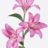 Artificial Flower 14*14*67cm  Lily single stem GS-64925028 2026Jan YeahFlower is one of Chinese leading OEM manufacturers and exporters , supplying the silk flowers, wholesale artificial trees