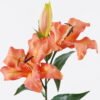 Artificial Flower 15*15*37cm Lily single stem GS-64925027 2026Jan YeahFlower is one of Chinese leading OEM manufacturers and exporters , supplying the silk flowers, wholesale artificial trees