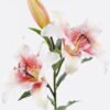 Artificial Flower 32*32*86cm Lily single stem GS-81025001 2026Feb YeahFlower is one of Chinese leading OEM manufacturers and exporters , supplying the silk flowers, wholesale artificial trees