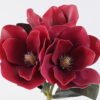 Artificial Flower Magnolia 3 bundle GS-64925031-R2_5 Artificial Flower 16*16*30cm Magnolia *3 bundle GS-64925031-R2 2026Jan YeahFlower is one of Chinese leading OEM manufacturers and exporters , supplying the silk flowers, wholesale artificial trees