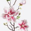 Artificial Flower Magnolia flower single stem GS-64725008-W2_4 Artificial Flower 21*21*89cm Magnolia flower single stem GS-64725008-W2 2026Jan YeahFlower is one of Chinese leading OEM manufacturers and exporters , supplying the silk flowers, wholesale artificial trees