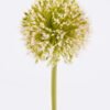 Artificial Flower 7*7*50cm Onion flower single stem GS-81325004 2026Feb YeahFlower is one of Chinese leading OEM manufacturers and exporters , supplying the silk flowers, wholesale artificial trees