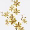 Artificial Flower 17*17*84cm Orchid *3 single stem GS-63925003 2025Dec YeahFlower is one of Chinese leading OEM manufacturers and exporters , supplying the silk flowers, wholesale artificial trees