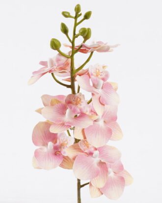 Artificial Flower 13*13*64cm Orchid single stem GS-64925033-P4 2026Jan YeahFlower is one of Chinese leading OEM manufacturers and exporters , supplying the silk flowers, wholesale artificial trees