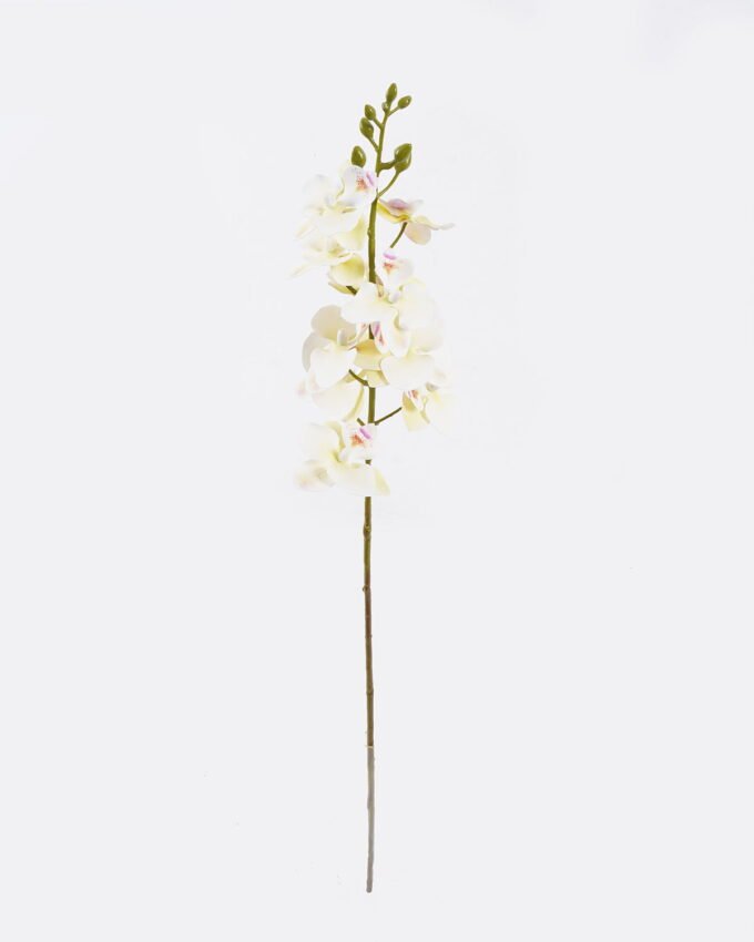 Artificial Flower Orchid single stem GS-64925033_4 Artificial Flower 13*13*64cm Orchid single stem GS-64925033 2026Jan YeahFlower is one of Chinese leading OEM manufacturers and exporters , supplying the silk flowers, wholesale artificial trees