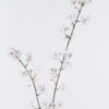 Artificial Flower Pear Flower 2 single stem GS-71625007-W1_4 Artificial Flower 15*15*113cm Pear Flower *2 single stem GS-71625007-W1 2026Jan YeahFlower is one of Chinese leading OEM manufacturers and exporters , supplying the silk flowers, wholesale artificial trees