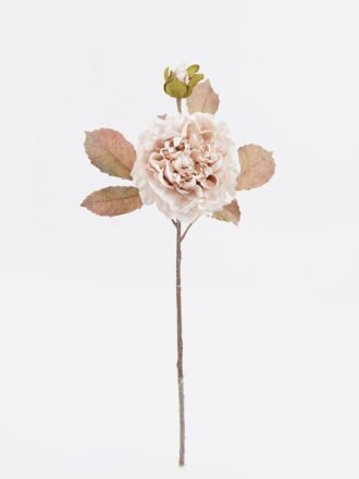Artificial Flower 23*23*48cm Peony *2 bundle GS-58825031 2025Dec 3,000+ sqm showroom with thousands of artificial flowers, plants & trees ready for global sourcing.
