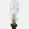 Artificial Flower 50*50*140cm Phalaenopsis *12 in PP pot GS-76325001 2026Feb YeahFlower is one of Chinese leading OEM manufacturers and exporters , supplying the silk flowers, wholesale artificial trees