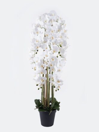 Artificial Flower 33*33*110cm Phalaenopsis *9 in PP pot GS-76325002 2026Feb 3,000+ sqm showroom with thousands of artificial flowers, plants & trees ready for global sourcing.