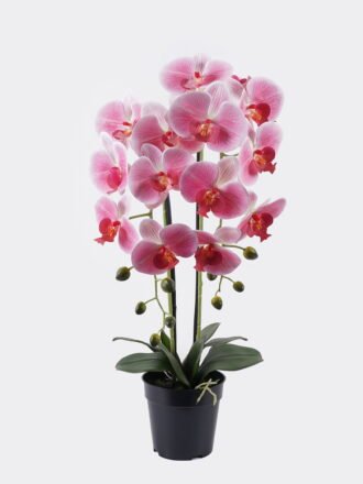 Artificial Flower 35*35*65cm Phalaenopsis *6 in PP pot GS-76325008 2026Feb 3,000+ sqm showroom with thousands of artificial flowers, plants & trees ready for global sourcing.