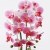 Artificial Flower Phalaenopsis 2 in PP pot GS-76325006_5 Artificial Flower 30*30*70cm Phalaenopsis *2 in PP pot GS-76325006 2026Feb YeahFlower is one of Chinese leading OEM manufacturers and exporters , supplying the silk flowers, wholesale artificial trees
