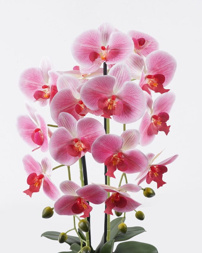Artificial Flower Phalaenopsis 2 in PP pot GS-76325006_5 Artificial Flower 30*30*70cm Phalaenopsis *2 in PP pot GS-76325006 2026Feb YeahFlower is one of Chinese leading OEM manufacturers and exporters , supplying the silk flowers, wholesale artificial trees