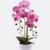 Artificial Flower Phalaenopsis 2 in PP pot GS-76325009_1 Artificial Flower 27*27*55cm Phalaenopsis *2 in PP pot GS-76325009 2026Feb YeahFlower is one of Chinese leading OEM manufacturers and exporters , supplying the silk flowers, wholesale artificial trees