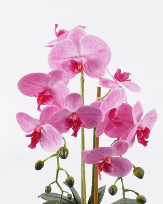 Artificial Flower 27*27*55cm Phalaenopsis *2 in PP pot GS-76325009 2026Feb YeahFlower is one of Chinese leading OEM manufacturers and exporters , supplying the silk flowers, wholesale artificial trees