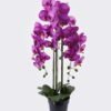 Artificial Flower Phalaenopsis 3 in PP pot GS-76325005_1 Artificial Flower 30*30*83cm Phalaenopsis *3 in PP pot GS-76325005 2026Feb YeahFlower is one of Chinese leading OEM manufacturers and exporters , supplying the silk flowers, wholesale artificial trees
