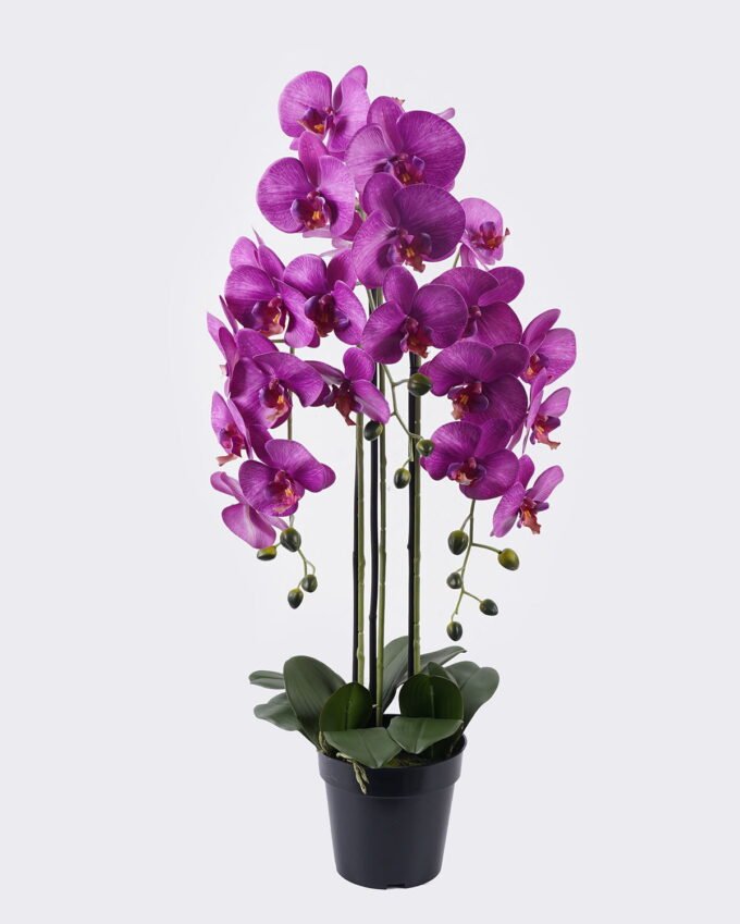 Artificial Flower Phalaenopsis 3 in PP pot GS-76325005_1 Artificial Flower 30*30*83cm Phalaenopsis *3 in PP pot GS-76325005 2026Feb YeahFlower is one of Chinese leading OEM manufacturers and exporters , supplying the silk flowers, wholesale artificial trees