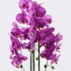 Artificial Flower Phalaenopsis 3 in PP pot GS-76325005_5 Artificial Flower 30*30*83cm Phalaenopsis *3 in PP pot GS-76325005 2026Feb YeahFlower is one of Chinese leading OEM manufacturers and exporters , supplying the silk flowers, wholesale artificial trees