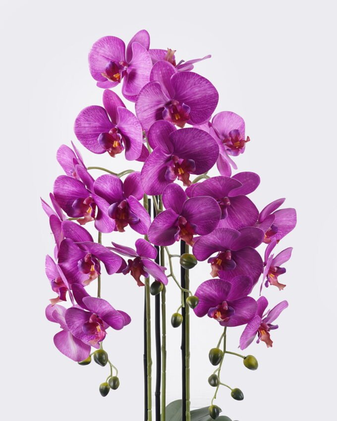 Artificial Flower Phalaenopsis 3 in PP pot GS-76325005_5 Artificial Flower 30*30*83cm Phalaenopsis *3 in PP pot GS-76325005 2026Feb YeahFlower is one of Chinese leading OEM manufacturers and exporters , supplying the silk flowers, wholesale artificial trees