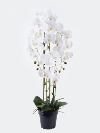 Artificial Flower 36*36*90cm Phalaenopsis *6 in PP pot GS-76325003 2026Feb 3,000+ sqm showroom with thousands of artificial flowers, plants & trees ready for global sourcing.
