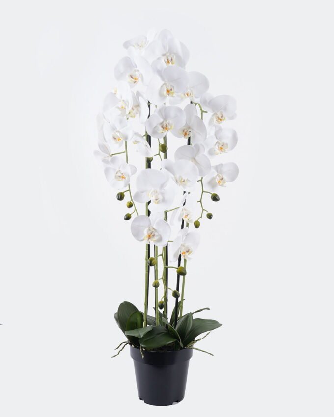 Artificial Flower Phalaenopsis 4 in PP pot GS-76325004_1 Artificial Flower 25*25*100cm Phalaenopsis *4 in PP pot GS-76325004 2026Feb YeahFlower is one of Chinese leading OEM manufacturers and exporters , supplying the silk flowers, wholesale artificial trees