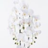 Artificial Flower Phalaenopsis 4 in PP pot GS-76325004_5 Artificial Flower 25*25*100cm Phalaenopsis *4 in PP pot GS-76325004 2026Feb YeahFlower is one of Chinese leading OEM manufacturers and exporters , supplying the silk flowers, wholesale artificial trees