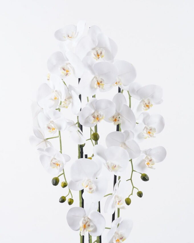 Artificial Flower Phalaenopsis 4 in PP pot GS-76325004_5 Artificial Flower 25*25*100cm Phalaenopsis *4 in PP pot GS-76325004 2026Feb YeahFlower is one of Chinese leading OEM manufacturers and exporters , supplying the silk flowers, wholesale artificial trees