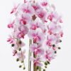 Artificial Flower 36*36*90cm Phalaenopsis *6 in PP pot GS-76325003 2026Feb YeahFlower is one of Chinese leading OEM manufacturers and exporters , supplying the silk flowers, wholesale artificial trees