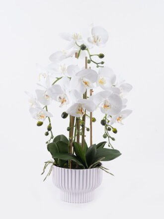 Artificial Flower 27*27*55cm Phalaenopsis *2 in PP pot GS-76325009 2026Feb 3,000+ sqm showroom with thousands of artificial flowers, plants & trees ready for global sourcing.
